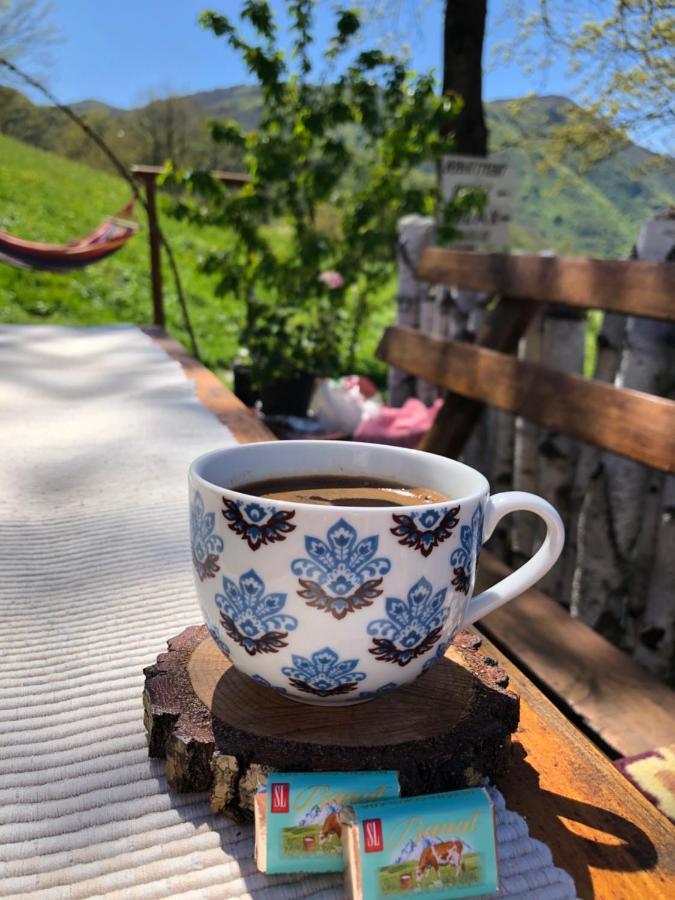 Relax * Плужине